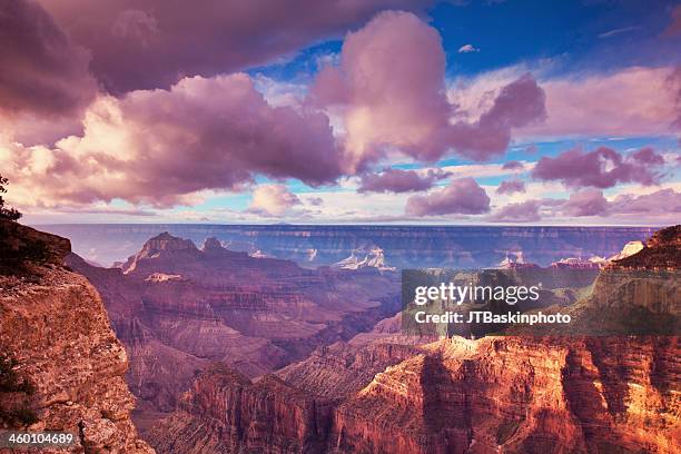 grand canyon glory - grand canyon stock pictures, royalty-free photos & images