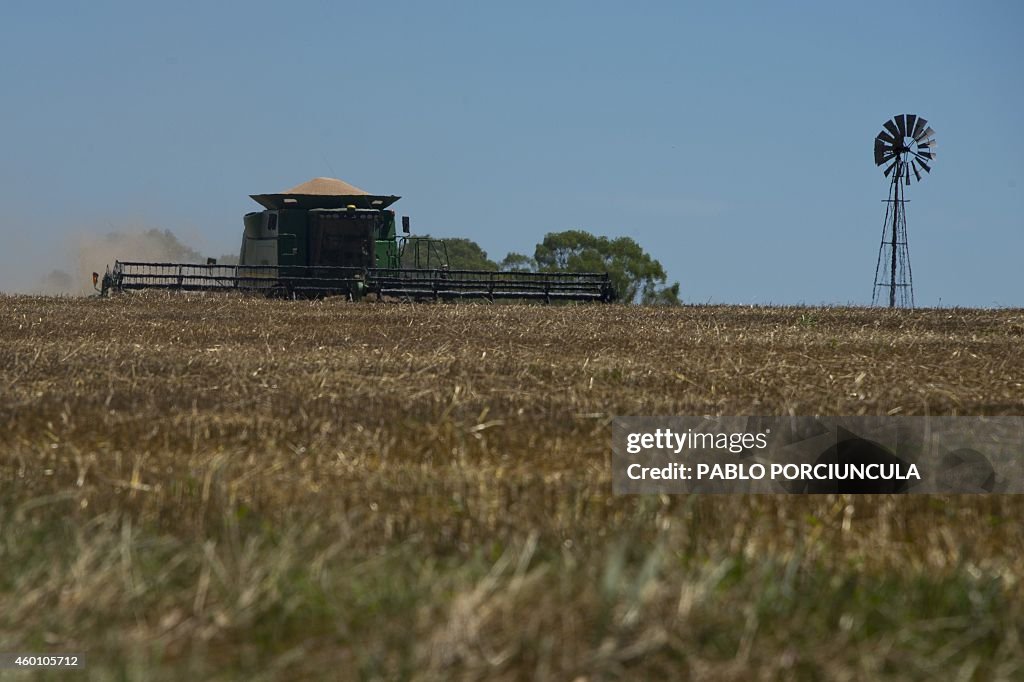 URUGUAY-ECONOMY-AGROTECHNOLOGY