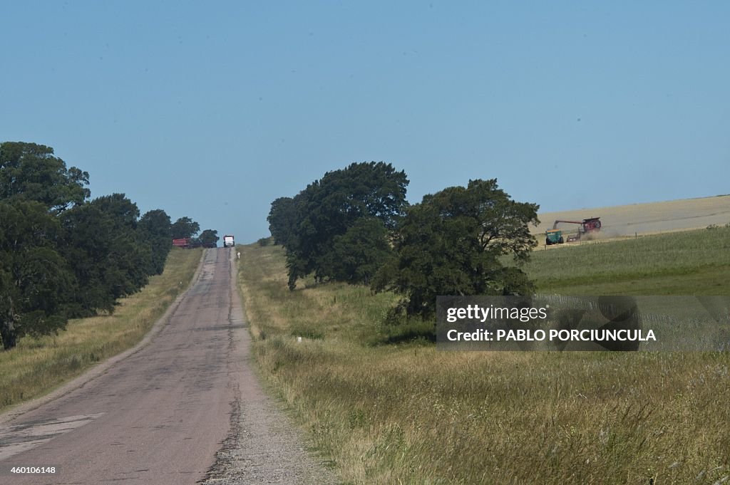 URUGUAY-ECONOMY-AGROTECHNOLOGY