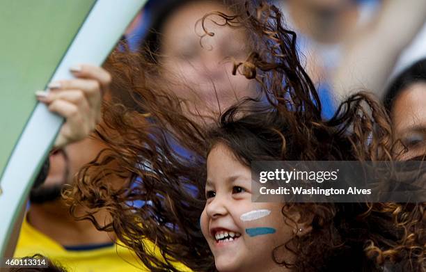 Fans of Cruzeiro celebrate a victory after a match between Cruzeiro and Fluminense as part of Brasileirao Series A 2014 at Mineirao Stadium on...