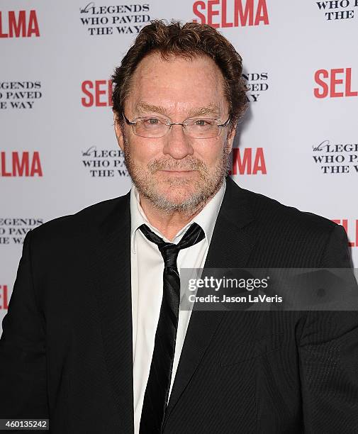 Actor Stephen Root attends the "Selma" and the Legends Who Paved the Way gala at Bacara Resort on December 6, 2014 in Goleta, California.