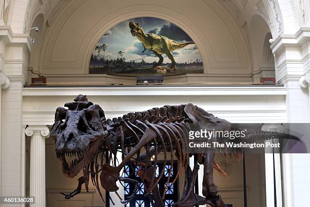 Sue, one of the largest, most extensive and best-preserved Tyrannosaurus rex specimens ever found, is displayed as part of the permanent collection...