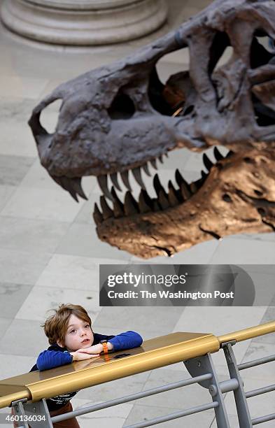 Visitors to the Field Museum of Natural History in Chicago, Illinois admire Sue, one of the largest, most extensive and best-preserved Tyrannosaurus...