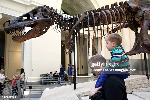 Visitors to the Field Museum of Natural History in Chicago, Illinois admire Sue, one of the largest, most extensive and best-preserved Tyrannosaurus...