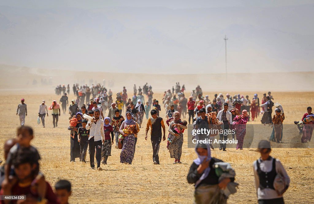 Anadolu Agency's Best Pictures of 2014