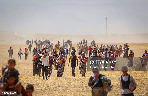 Thousands of Yezidis trapped in the Sinjar mountains as they tried to escape from Islamic State forces, are rescued by Kurdish Peshmerga forces and...