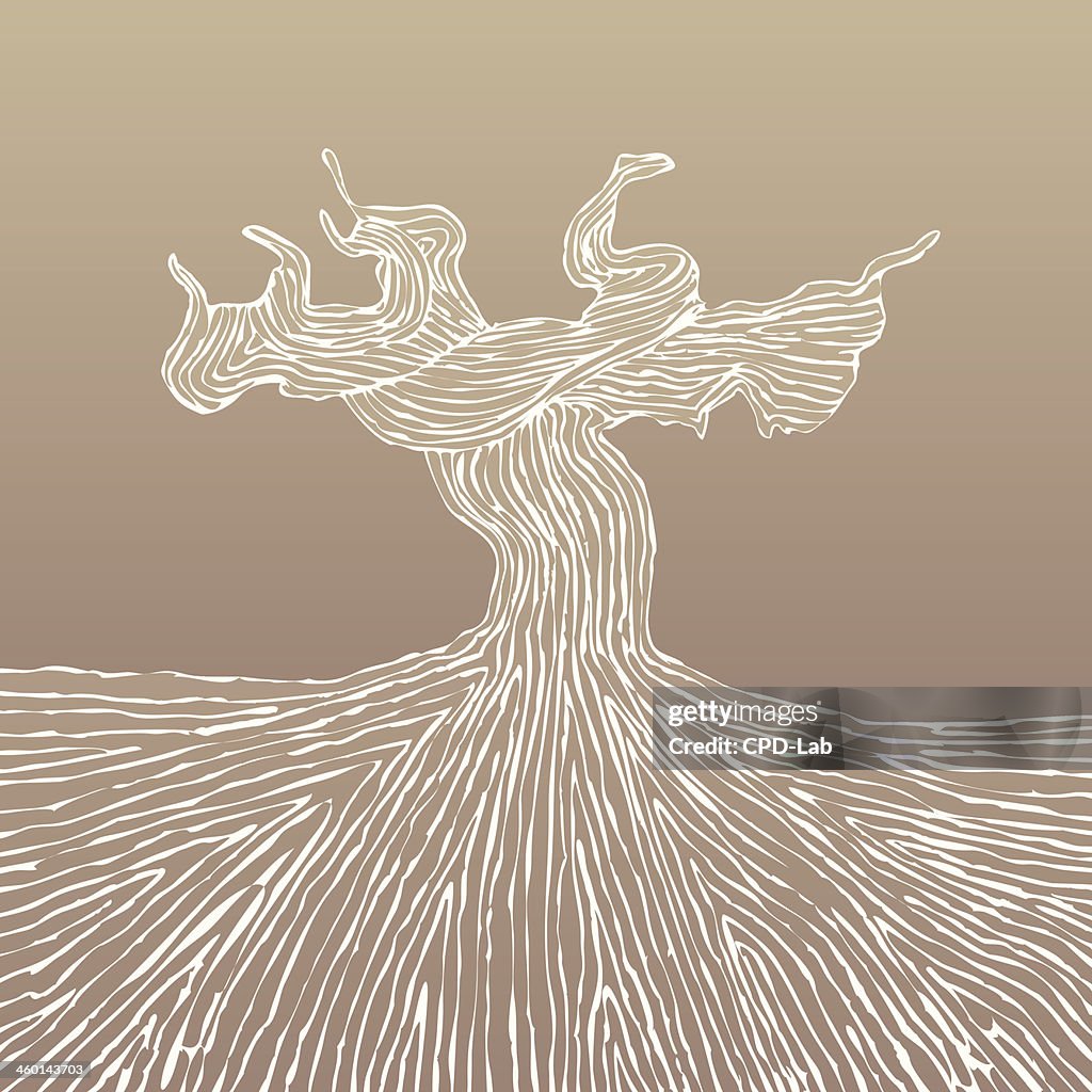 Grapevine Trunk Rtexture Grapevine Trunk Vector Illustration High-Res Vector Graphic - Getty Images