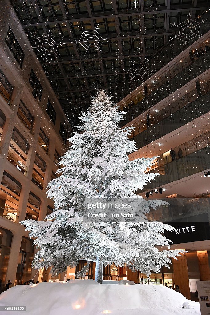 Tokyo Enjoys Christmas Illumination