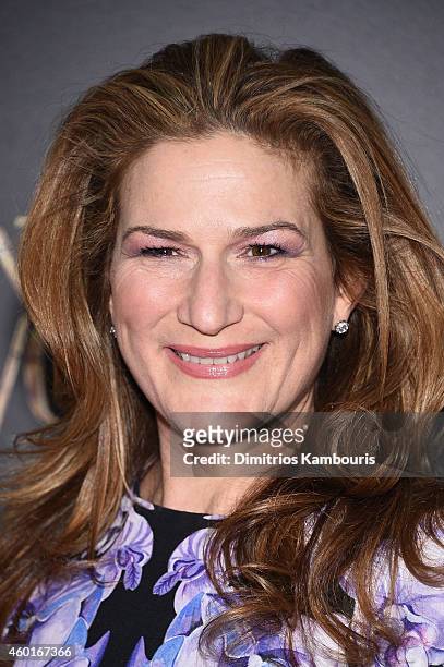 Ana Gasteyer attends the "Into The Woods" World Premiere at Ziegfeld Theater on December 8, 2014 in New York City.
