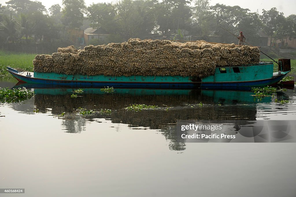 A laborer transports the jute to a factory in Bangladesh.