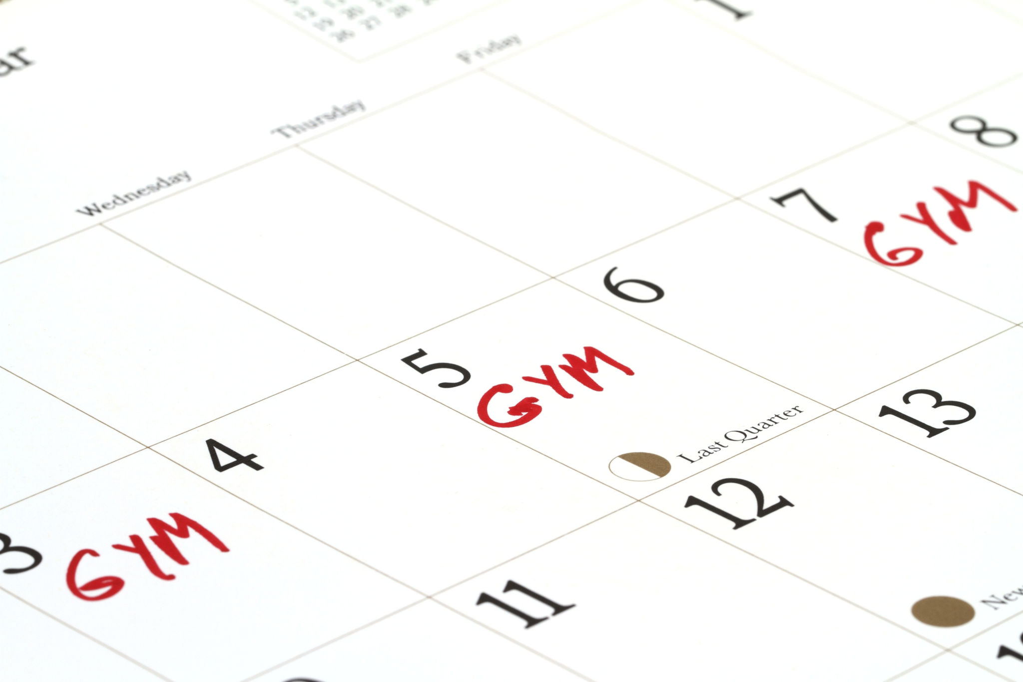 fitness schedule