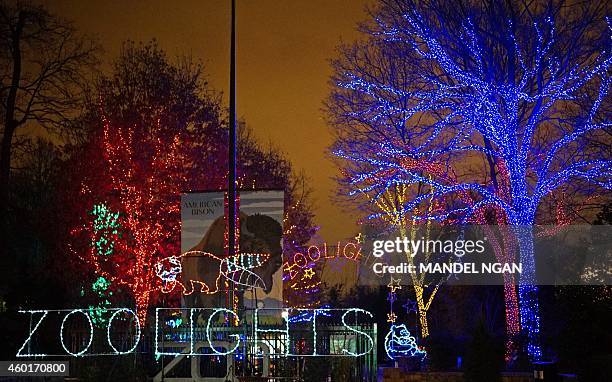 The National Zoo is decorated for the Christmas Season on December 8, 2014 in Washington, DC. "ZooLights", when the zoo is illuminated by over...