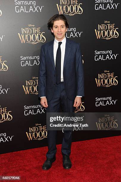 Actor Michael Zegen attends the "Into The Woods" world premiere at Ziegfeld Theater on December 8, 2014 in New York City.