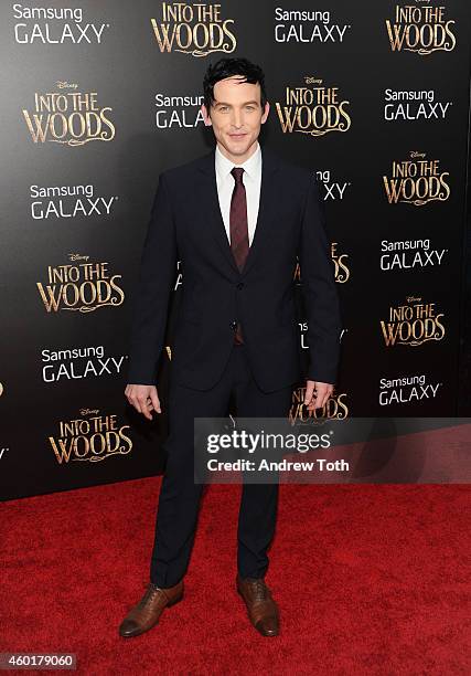 Actor Robin Taylor attends the "Into The Woods" world premiere at Ziegfeld Theater on December 8, 2014 in New York City.