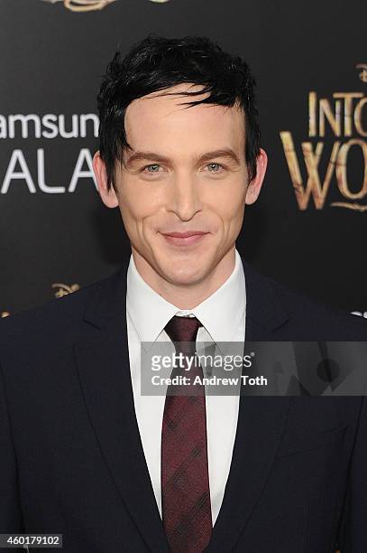 Actor Robin Taylor attends the "Into The Woods" world premiere at Ziegfeld Theater on December 8, 2014 in New York City.