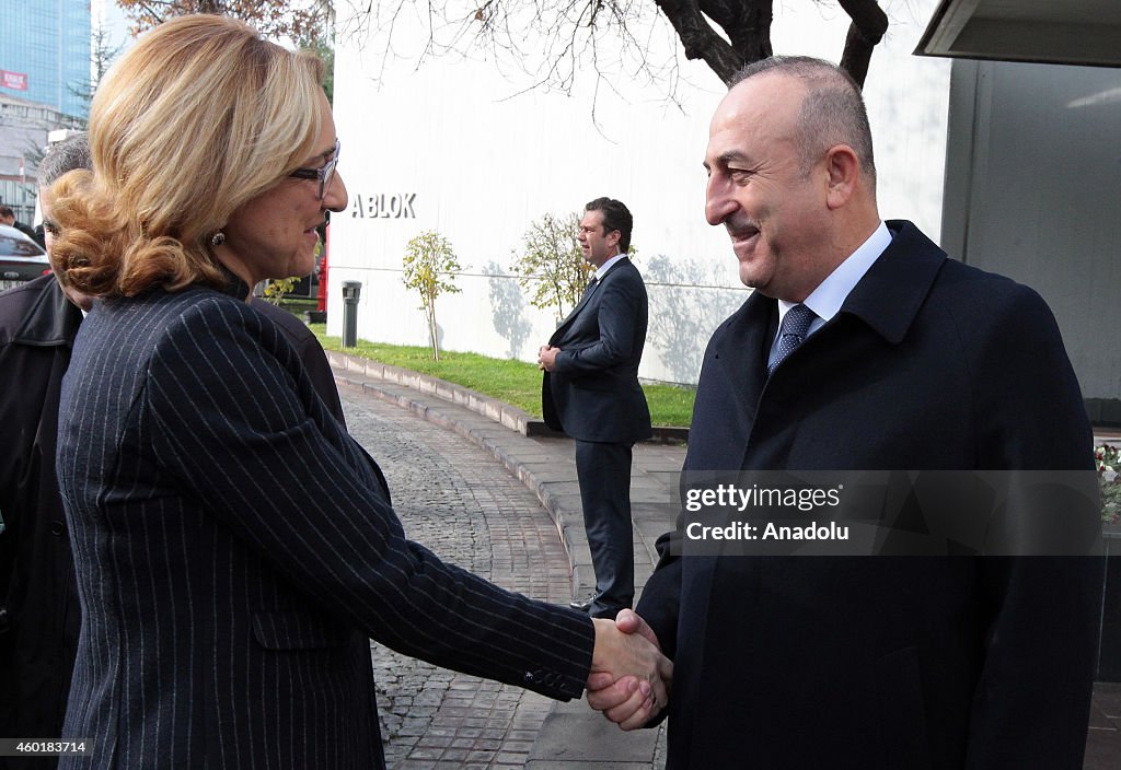 Meeting of Cavusoglu and Beruchashvili in Ankara