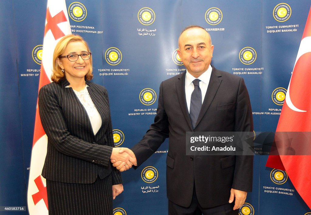 Meeting of Cavusoglu and Beruchashvili in Ankara