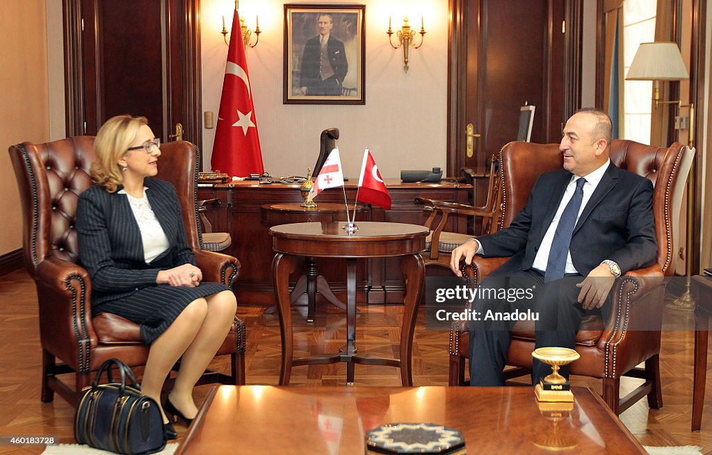 Meeting of Cavusoglu and Beruchashvili in Ankara