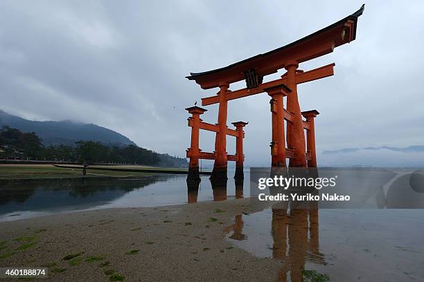 The floating red Torii gate of the Itsukushima Shrine stands in waters on November 25, 2014 in Miyajima island, Hatsukaichi, Hiroshima Prefecture,...