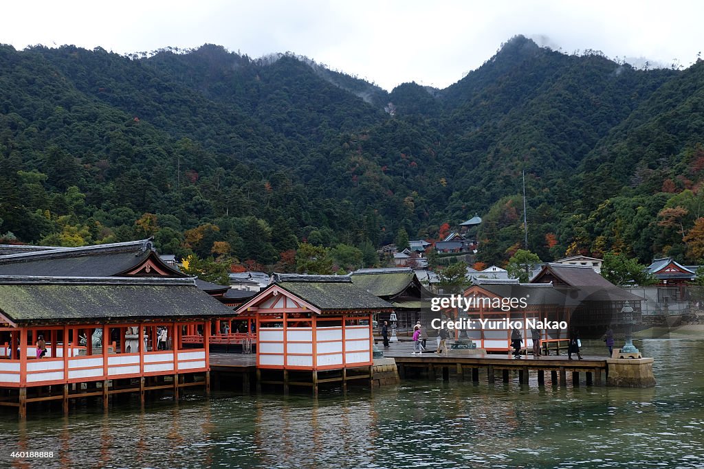 Autumn Colors Grace Hiroshima