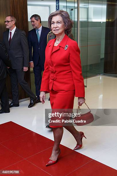 Queen Sofia of Spain attends 'Queen Sofia Against Drugs' awards ceremony at the Red Cross foundation building on December 9, 2014 in Madrid, Spain.