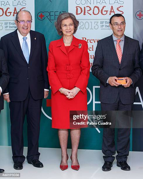 Queen Sofia of Spain attends 'Queen Sofia Against Drugs' awards ceremony at the Red Cross foundation building on December 9, 2014 in Madrid, Spain.