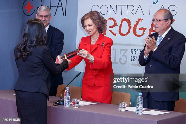 Queen Sofia of Spain attends 'Queen Sofia Against Drugs' awards ceremony at the Red Cross foundation building on December 9, 2014 in Madrid, Spain.