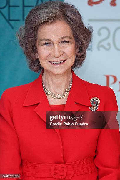 Queen Sofia of Spain attends 'Queen Sofia Against Drugs' awards ceremony at the Red Cross foundation building on December 9, 2014 in Madrid, Spain.