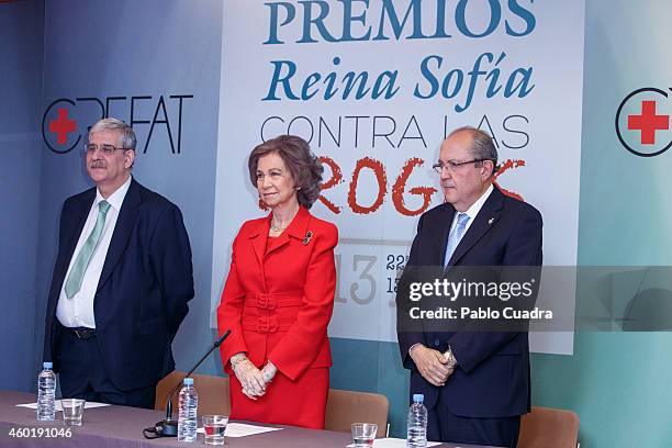 Queen Sofia of Spain attends 'Queen Sofia Against Drugs' awards ceremony at the Red Cross foundation building on December 9, 2014 in Madrid, Spain.