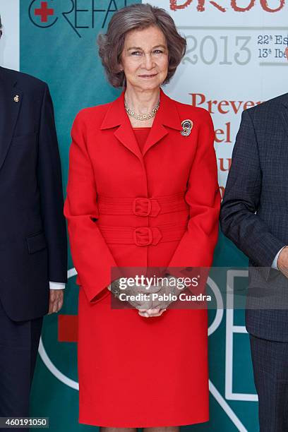 Queen Sofia of Spain attends 'Queen Sofia Against Drugs' awards ceremony at the Red Cross foundation building on December 9, 2014 in Madrid, Spain.