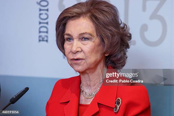 Queen Sofia of Spain attends 'Queen Sofia Against Drugs' awards ceremony at the Red Cross foundation building on December 9, 2014 in Madrid, Spain.