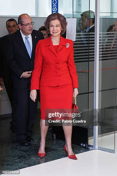 Queen Sofia of Spain attends 'Queen Sofia Against Drugs' awards ceremony at the Red Cross foundation building on December 9, 2014 in Madrid, Spain.