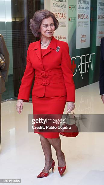 Queen Sofia of Spain attends 'Queen Sofia Against Drugs' awards ceremony at the Red Cross foundation building on December 9, 2014 in Madrid, Spain.