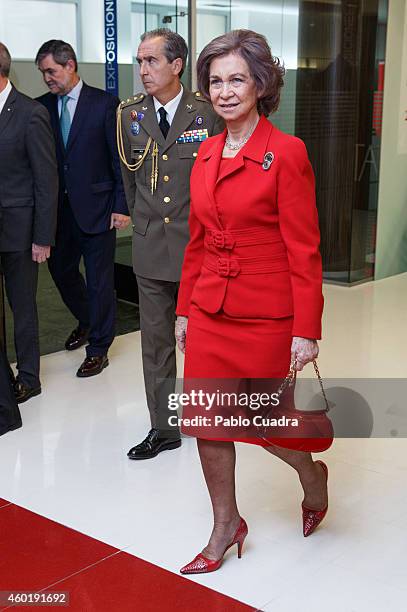 Queen Sofia of Spain attends 'Queen Sofia Against Drugs' awards ceremony at the Red Cross foundation building on December 9, 2014 in Madrid, Spain.