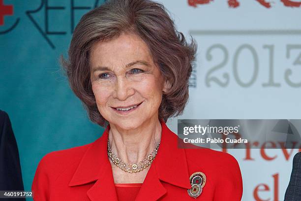 Queen Sofia of Spain attends 'Queen Sofia Against Drugs' awards ceremony at the Red Cross foundation building on December 9, 2014 in Madrid, Spain.