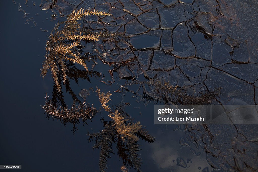 Millions Of Liters Of Crude Oil Spill In Israel's Arava Desert