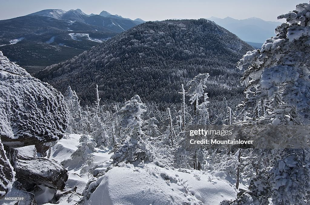 View from an observatory peak of North Yatsugatake