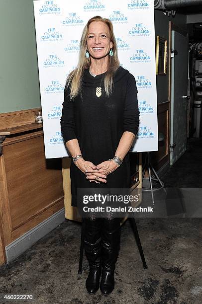 Nan Hauser attends "The Ocean Campaign" Launch Party at The Late Late on December 9, 2014 in New York City.