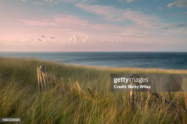 summer's over - cape cod photos et images de collection