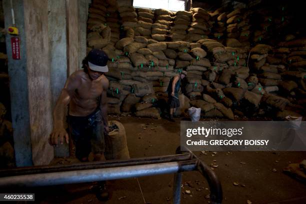 Copra Oil Process 67 Copra Production Stock Photos, High-Res Pictures, and Images - Getty ...