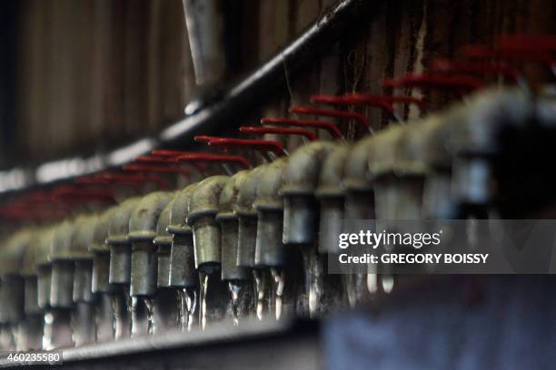 Copra Oil Process 67 Copra Production Stock Photos, High-Res Pictures, and Images - Getty ...