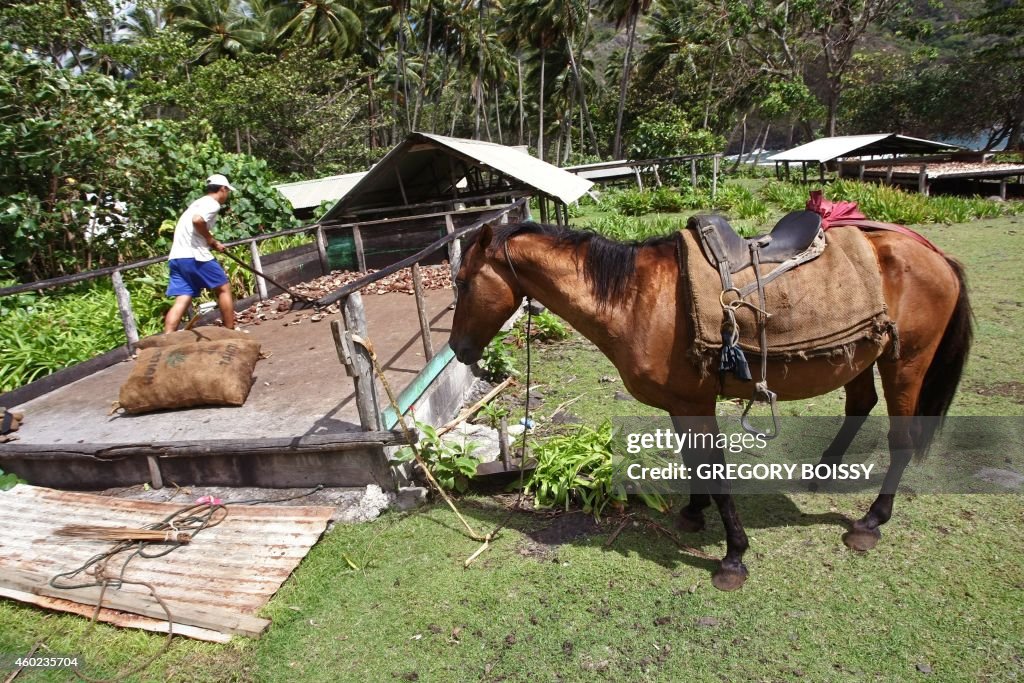 FRANCE-OVERSEAS-POLYNESIA-AGRICULTURE-COCONUT-COPRA