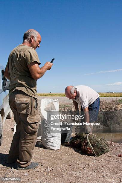 carga de cangrejos - carga stock pictures, royalty-free photos & images