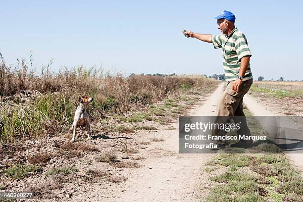 agricultor y su perro - agricultor stock pictures, royalty-free photos & images