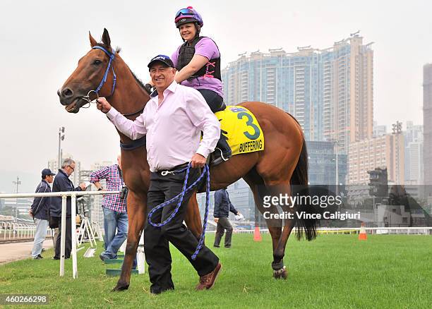 Buffering walks onto the track with trainer Robert Heathcote during a trackwork session at Sha Tin Racecourse on December 11, 2014 in Hong Kong, Hong...