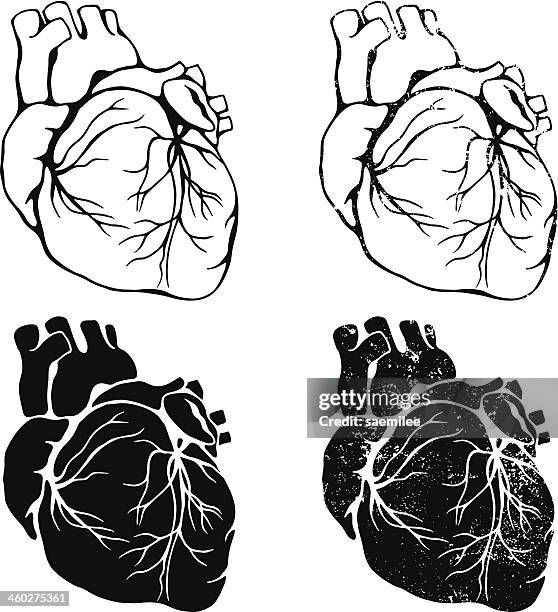 heart set - pericardium stock illustrations