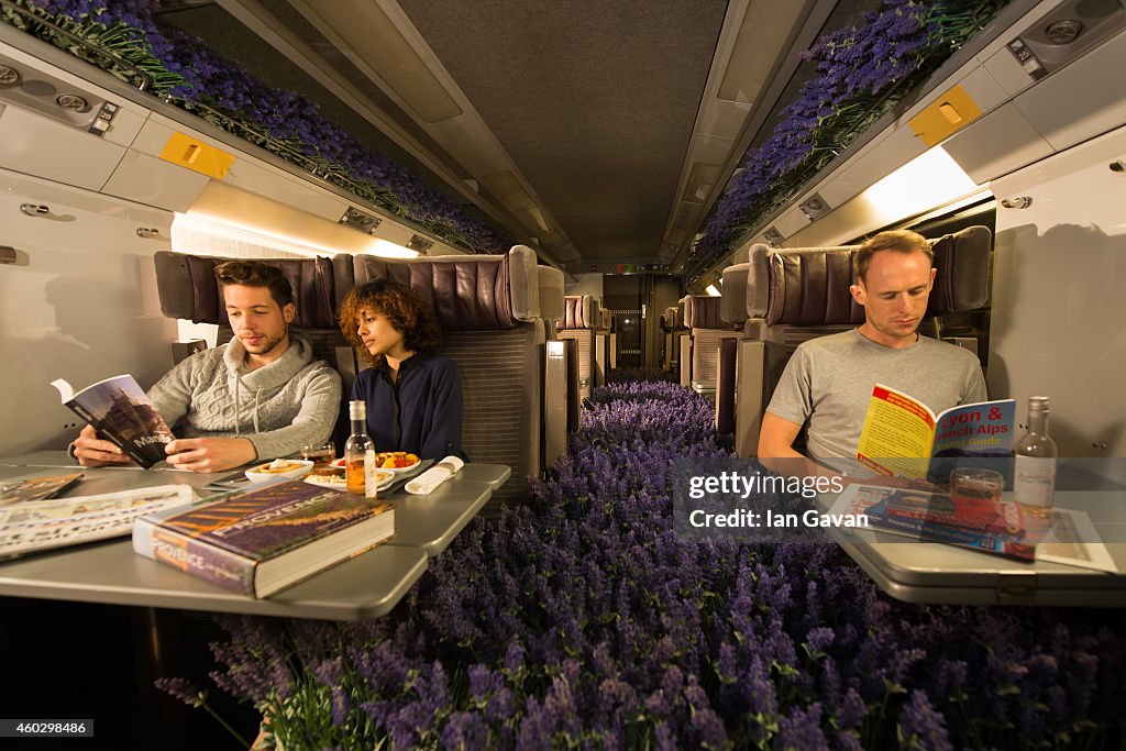 Eurostar Brings Provencal Lavender Fields To London
