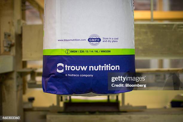 17 Manufactring Operations At Dutch Animal Feed Supplier Nutreco Nv As Cargill Considers 3 2 Billion Euro Acquisition Photos and Premium High Res Pictures - Getty Images 17 Manufactring Operations At Dutch Animal Feed Supplier Nutreco Nv As Cargill Considers 3 2 Billion Euro Acquisition Photos and Premium High Res Pictures - Getty Images