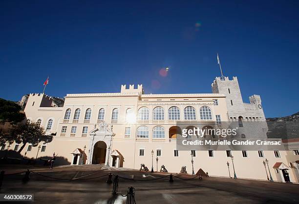 View of the Monaco Palace the day after the birth of the royal twins Prince Jacques and Princess Gabriella on December 11, 2014 in Monaco, Monaco.