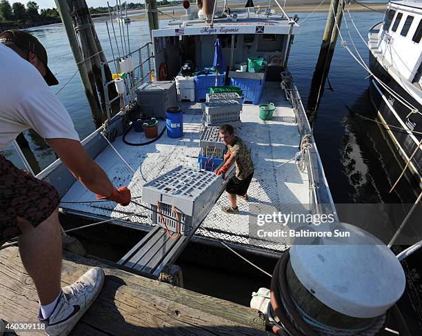 Two crew members unload lobsters from "Major Expense," a fishing boat owned by John VanSalisbury, on Aug. 14, 2014 in Point Pleasant, N.J. National...